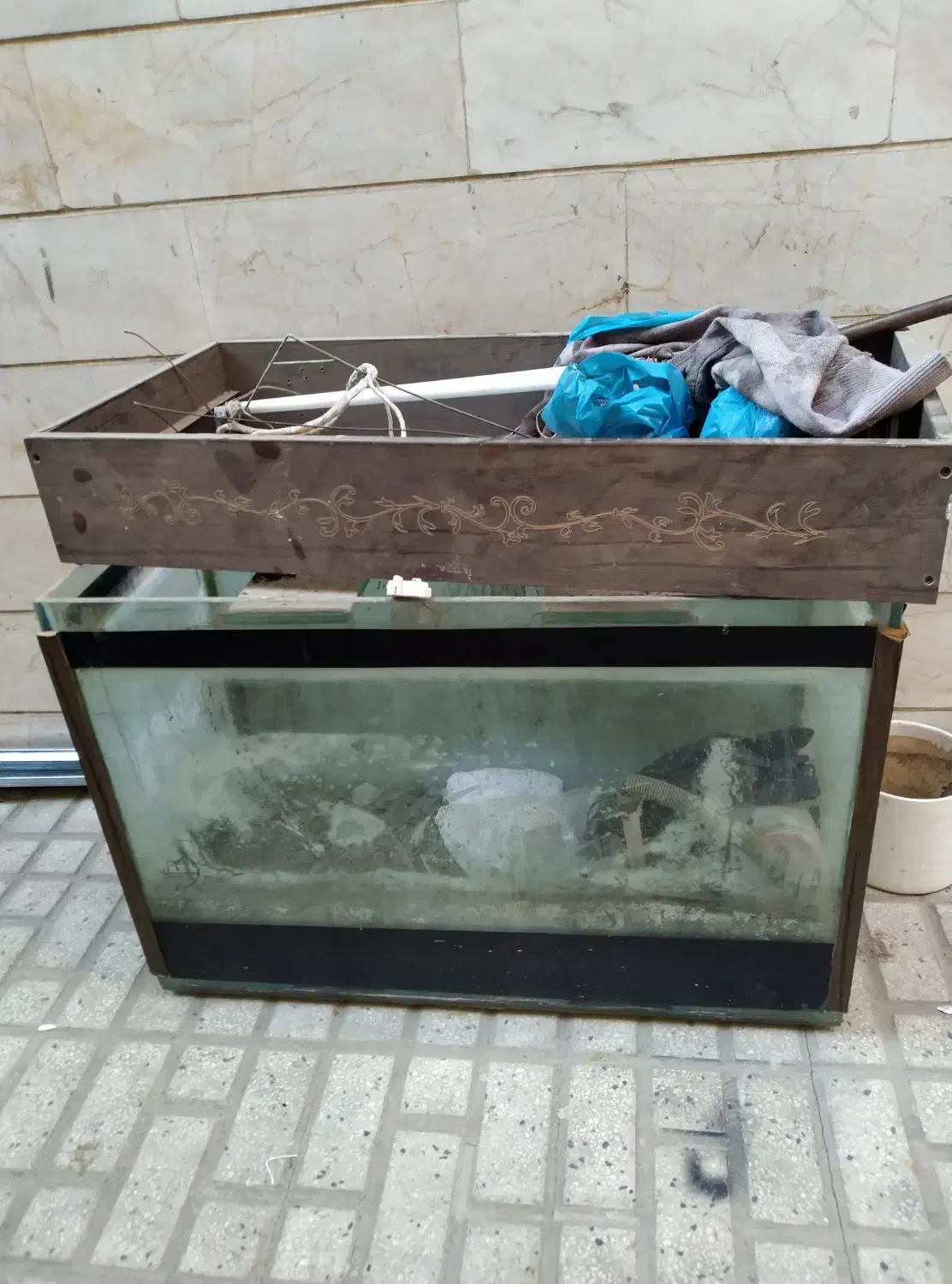 اکواریوم شیشه ۱۰ میل|ماهی|تهران, مسعودیه|دیوار