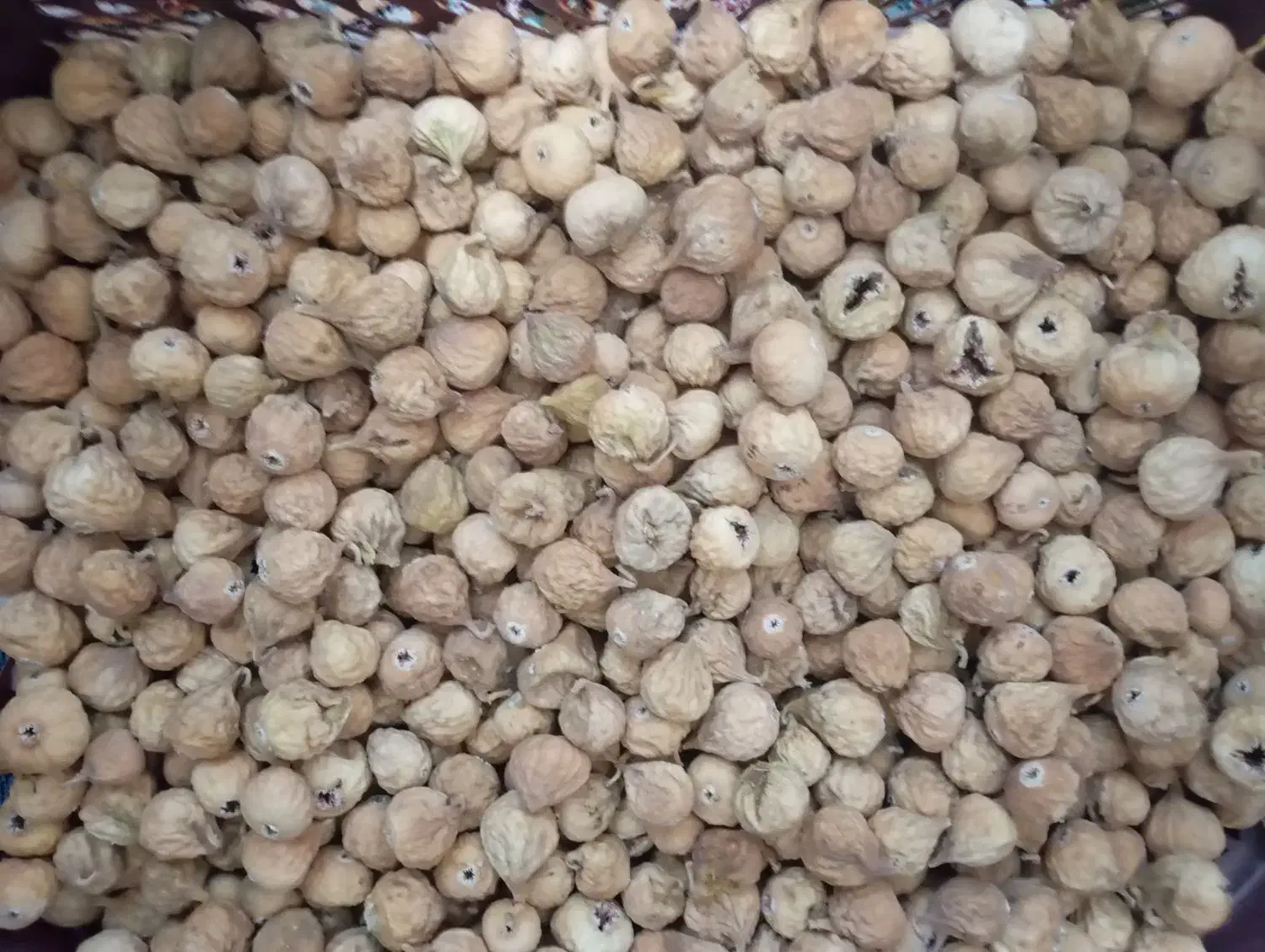 انجیر صد یک اعلا استهبان|خوردنی و آشامیدنی|شیراز, پارک آزادی|دیوار