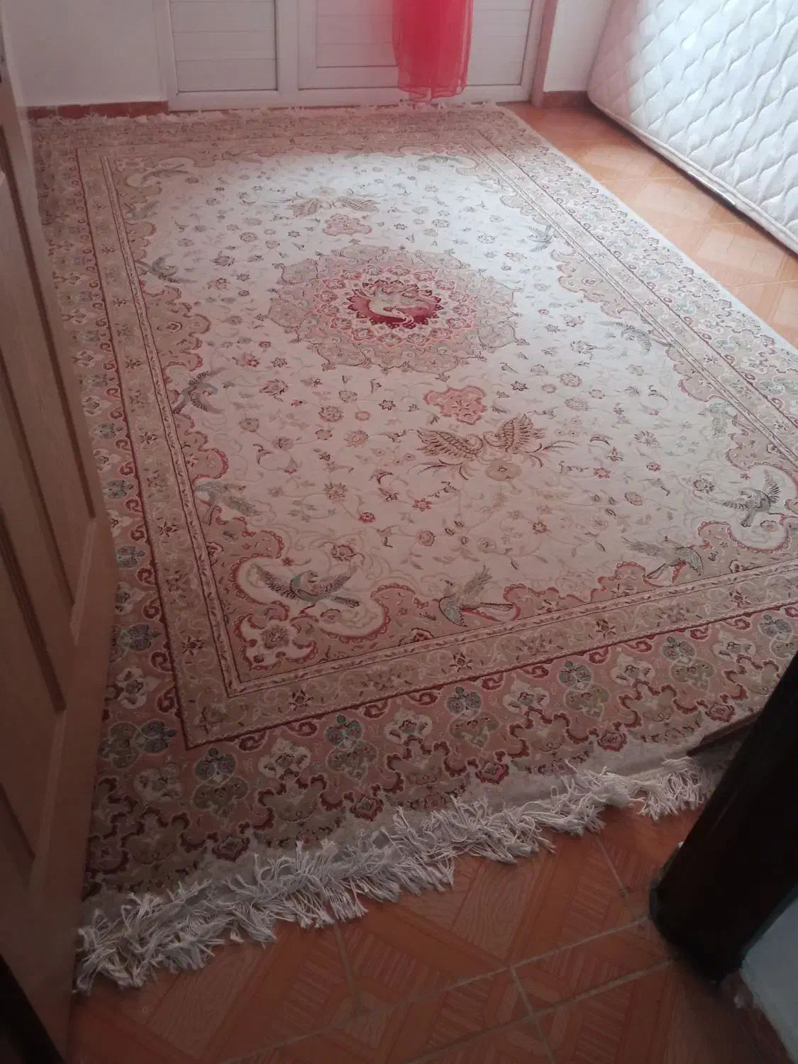 فرش|فرش|بندر انزلی, ساحل قو|دیوار