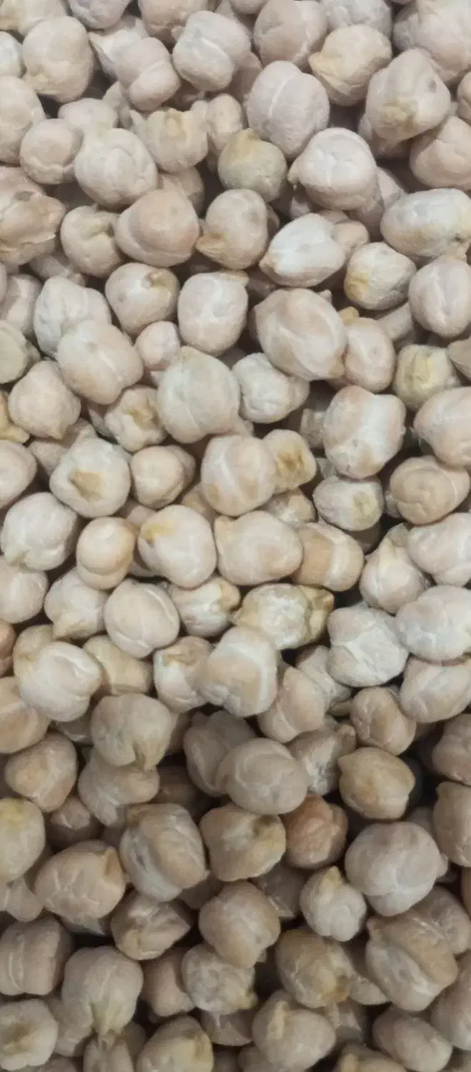 عدس .نخودتازه|عمده‌فروشی|رباط‌کریم, نصیرشهر|دیوار