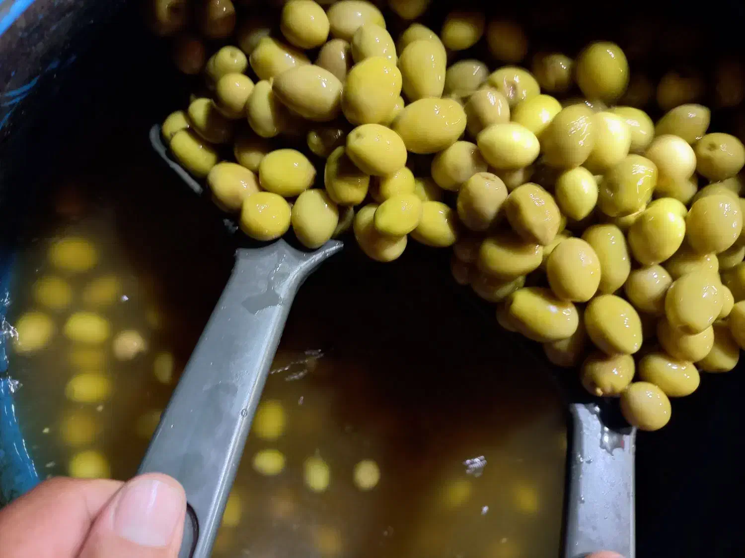 پخش زیتون|خوردنی و آشامیدنی|اسلامشهر, زرافشان|دیوار