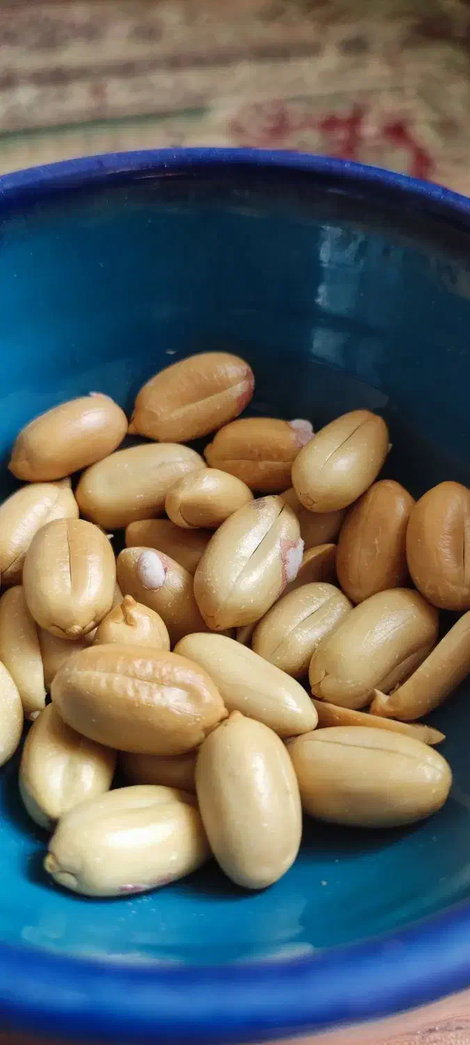 فروش بادام زمینی (و سایر خشکبار) باکیفیت بی‌نظیر|خوردنی و آشامیدنی|شیراز, میرزاکوچک خان|دیوار