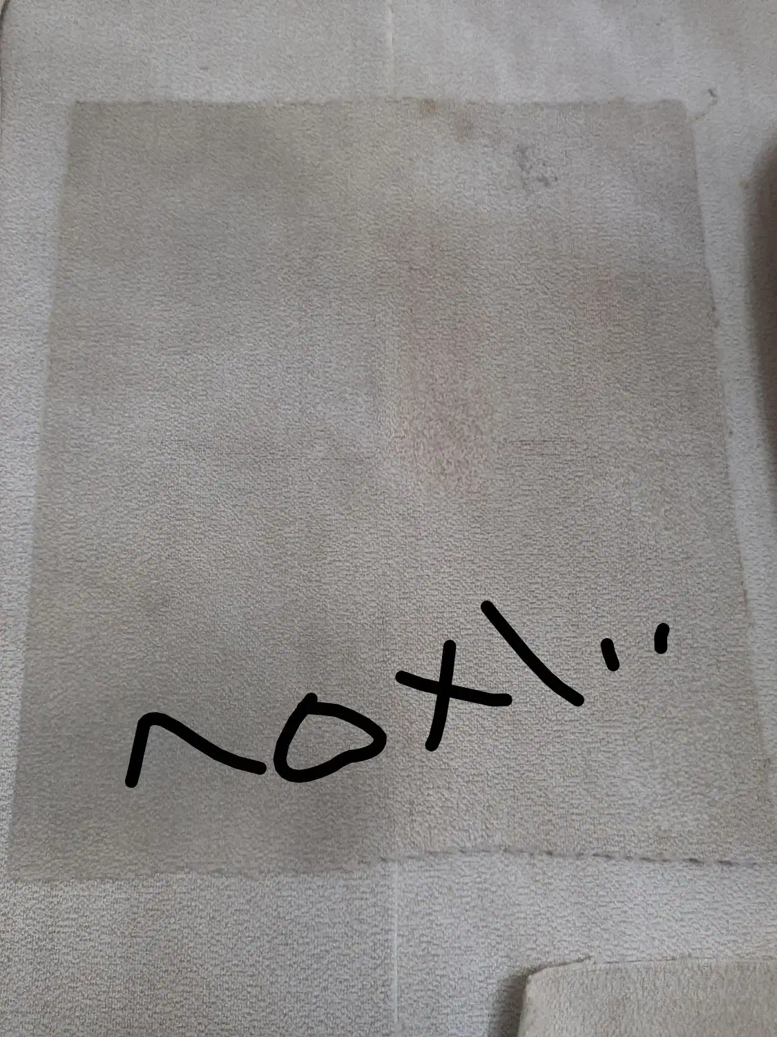 تکه های موکت پالاز رنک کرم نسکافه ای|موکت|تهران, ارامنه|دیوار