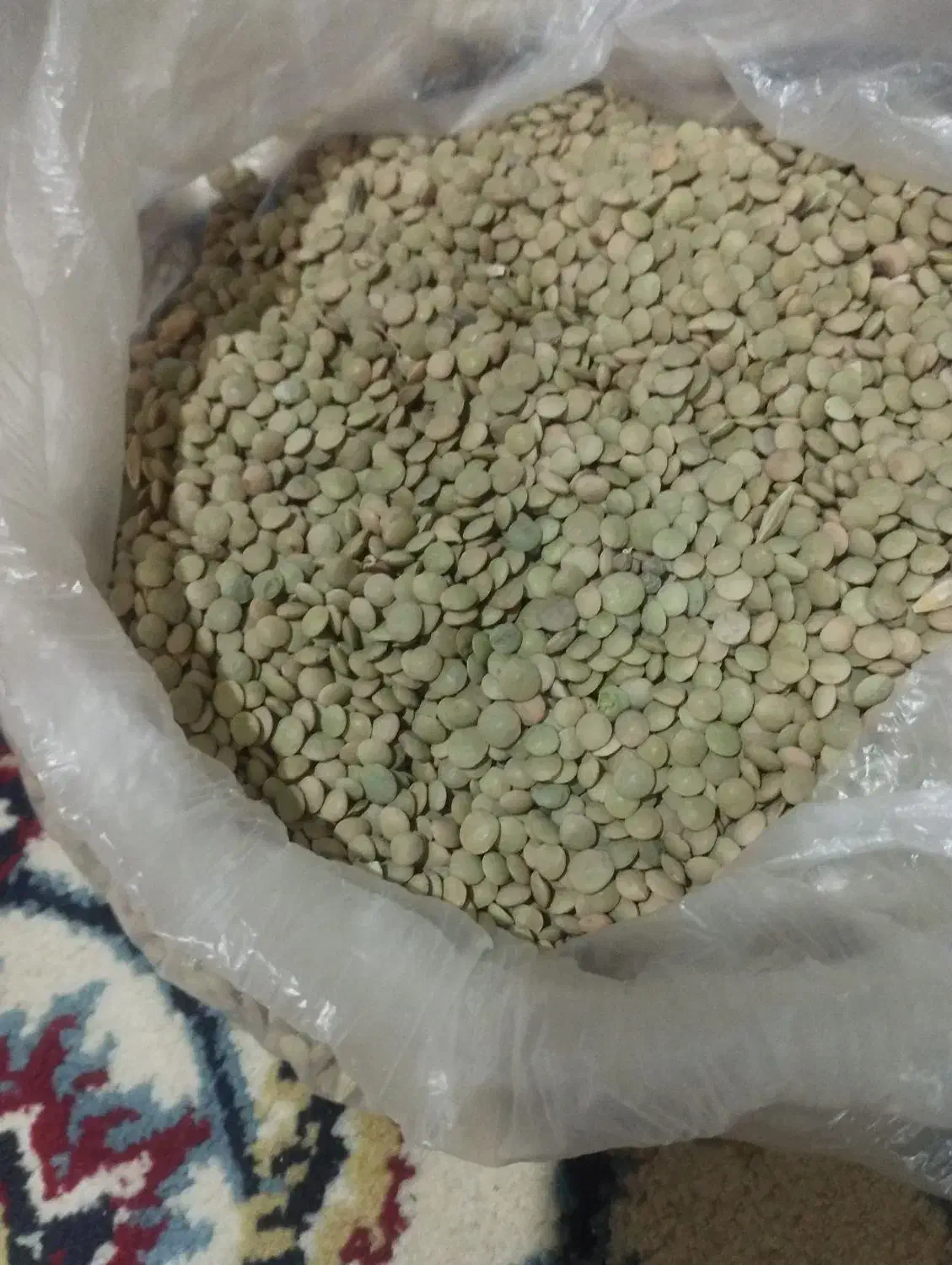 عدس درجه 1 مغان|عمدهفروشی|بیله سوار, |دیوار