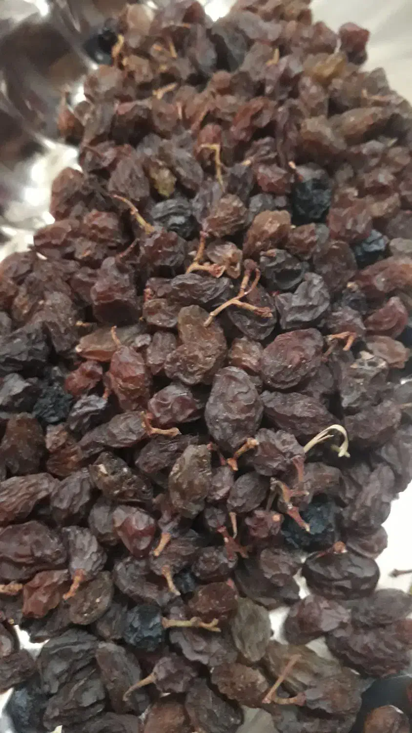 مویز کشمش|خوردنی و آشامیدنی|سردرود, |دیوار