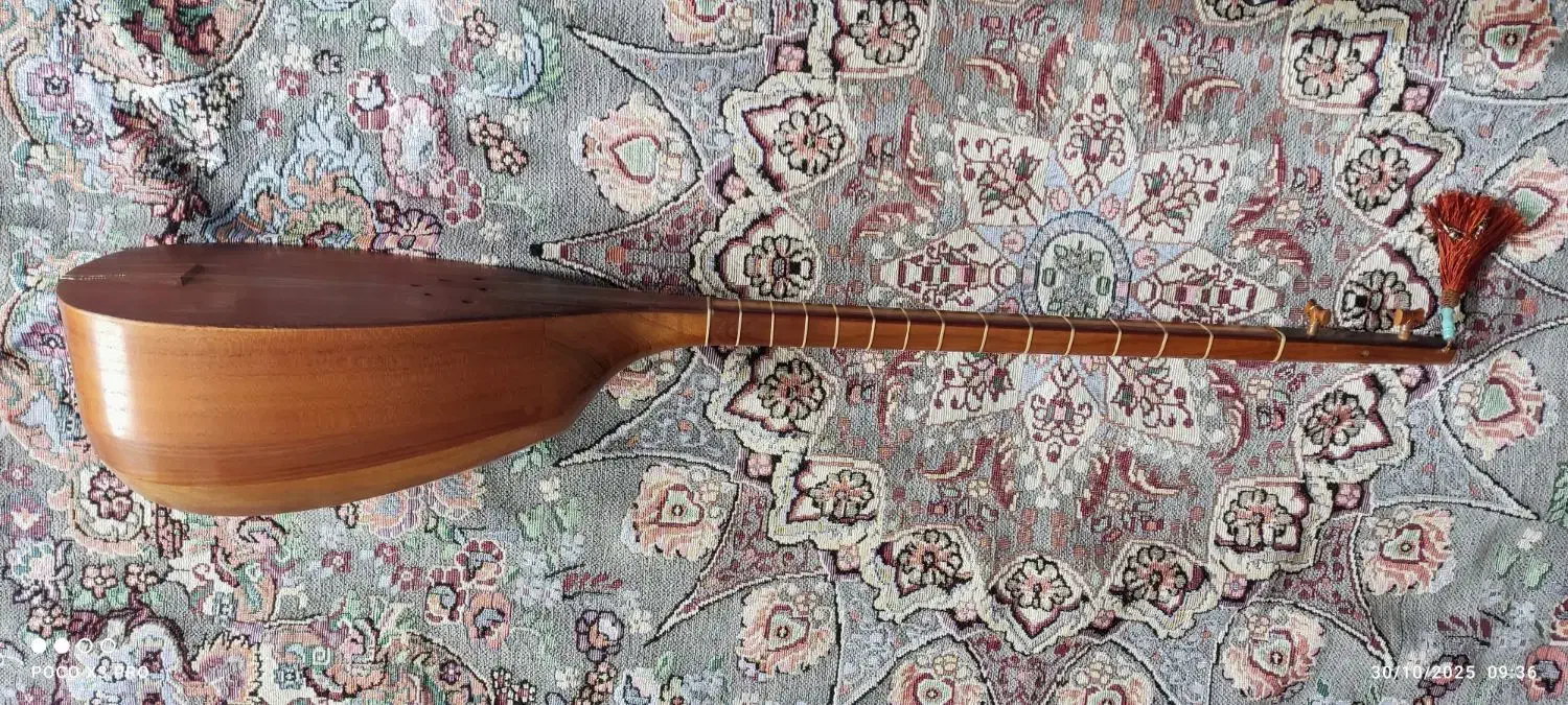 تنبور کارکرده، خوش صدا|سازهای سنتی|همدان, |دیوار