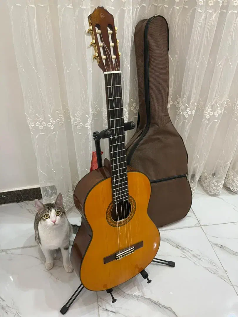 گیتار یاماها مدلc70|گیتار، بیس، امپلیفایر|رشت, استقامت ۱|دیوار