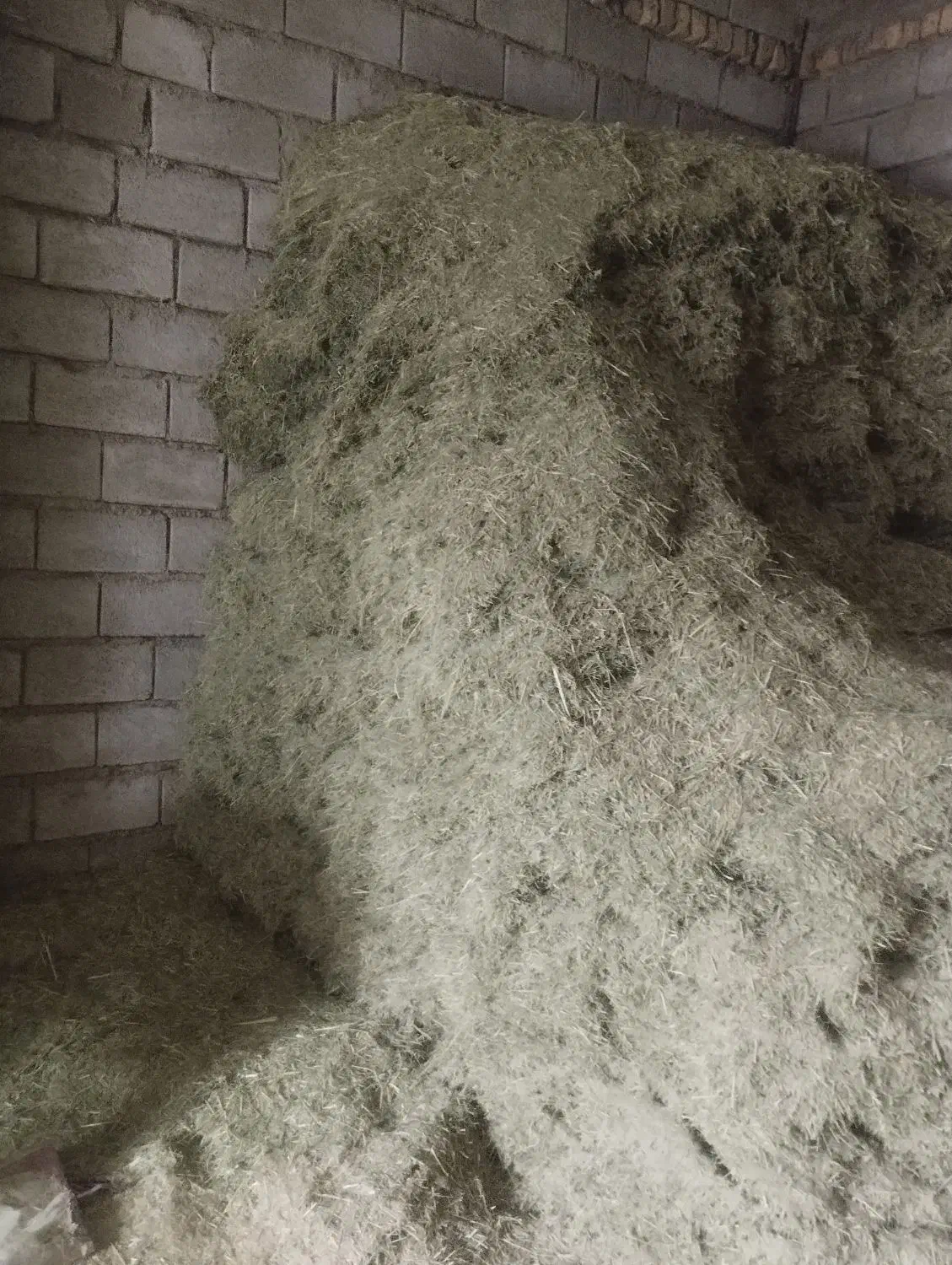 کاه سبز|لوازم جانبی حیوانات|شیراز, شهرک مهدیه|دیوار