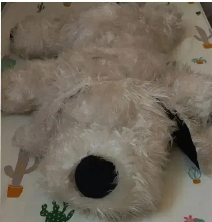 عروسک پولیشی|اسباببازی|شاهرود, |دیوار