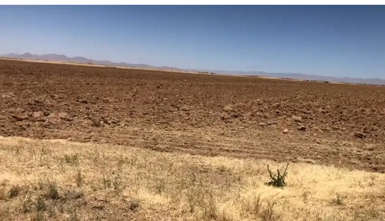 اجاره ۱۰۲ هکتار زمین کشاورزی جهت دیم|اجارهٔ دفتر صنعتی، کشاورزی، تجاری|فامنین, |دیوار