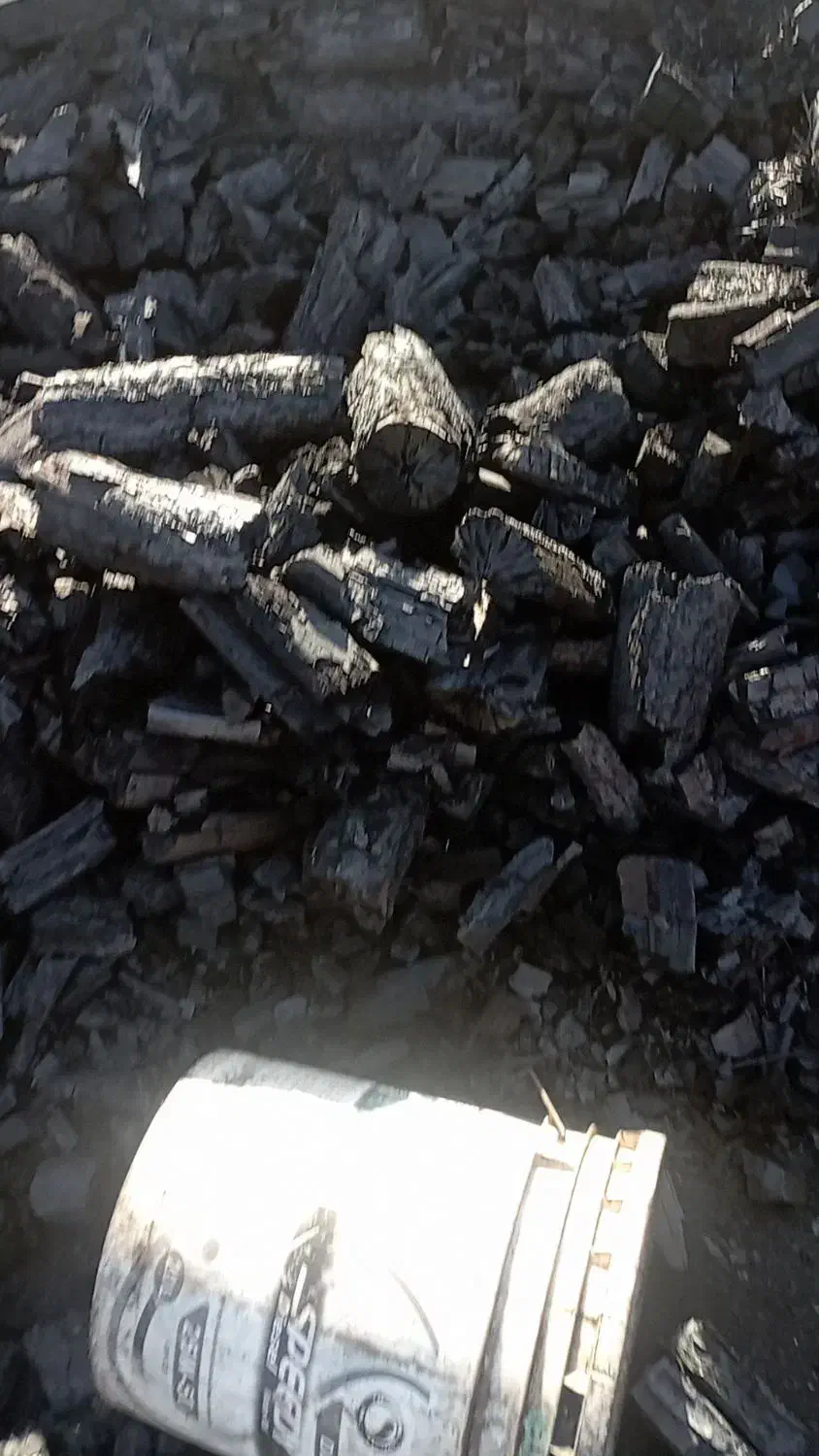 تولیدی زغال کبابی صنعتی و سنتی|عمدهفروشی|اردبیل, |دیوار