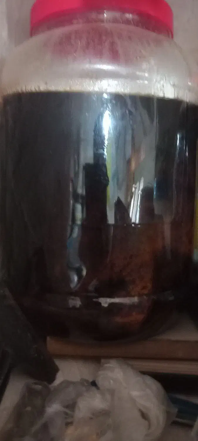 دوشاب صددرصدطبیعی|خوردنی و آشامیدنی|قره قوین, |دیوار