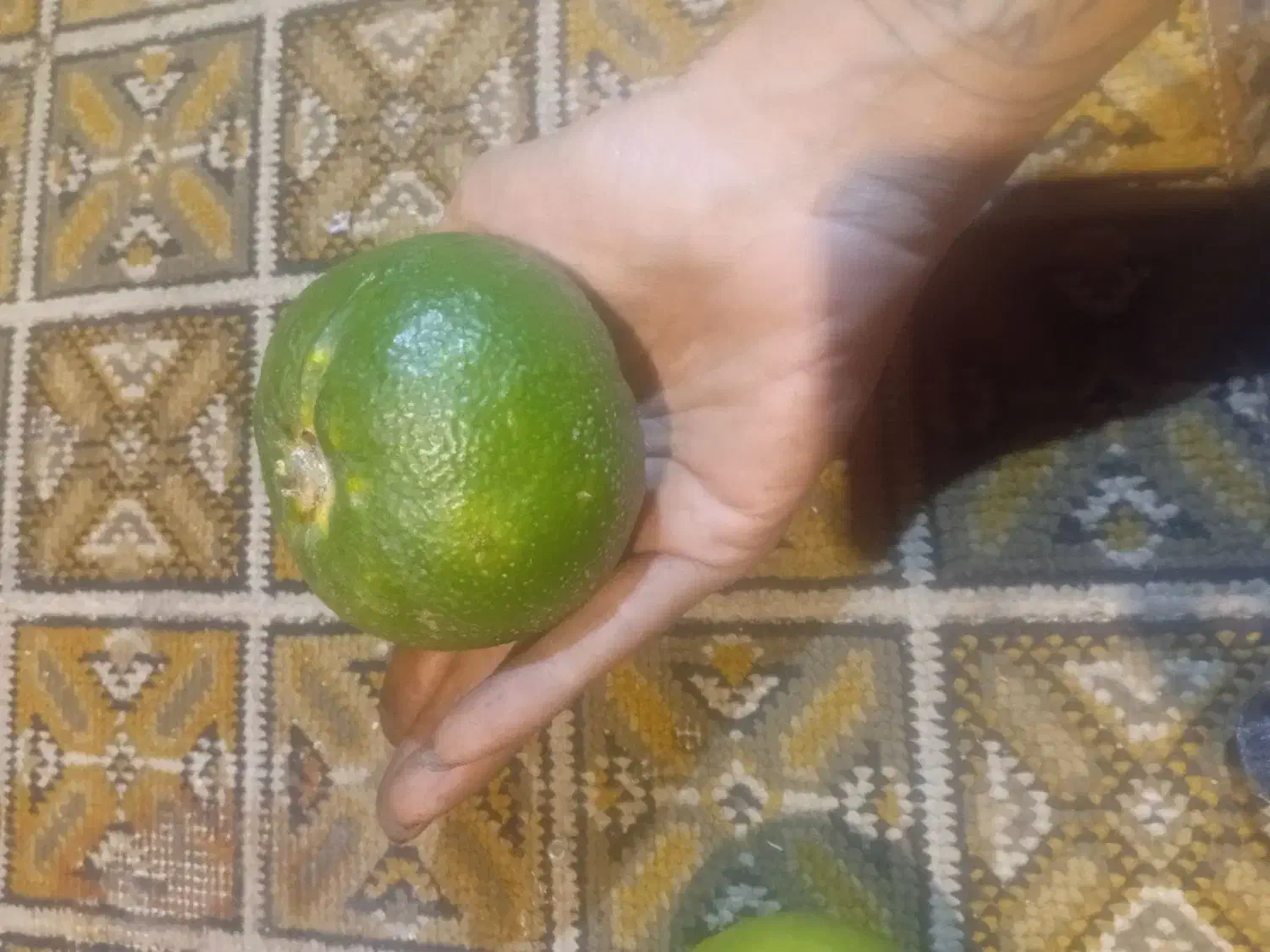 نارنج و آب نارنج بهشهر درشت و آبدار|حراج|بهشهر, |دیوار