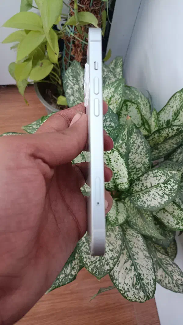 13نرمال|موبایل|بوشهر, |دیوار