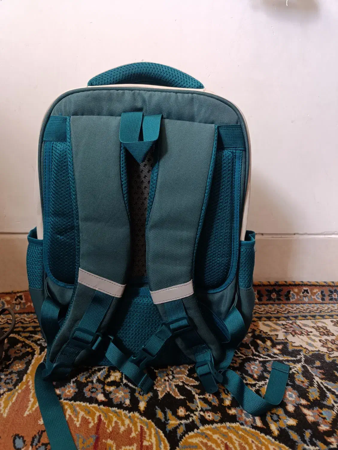 کیف divi bear|کیف، کفش، کمربند|شیراز, سجادیه|دیوار