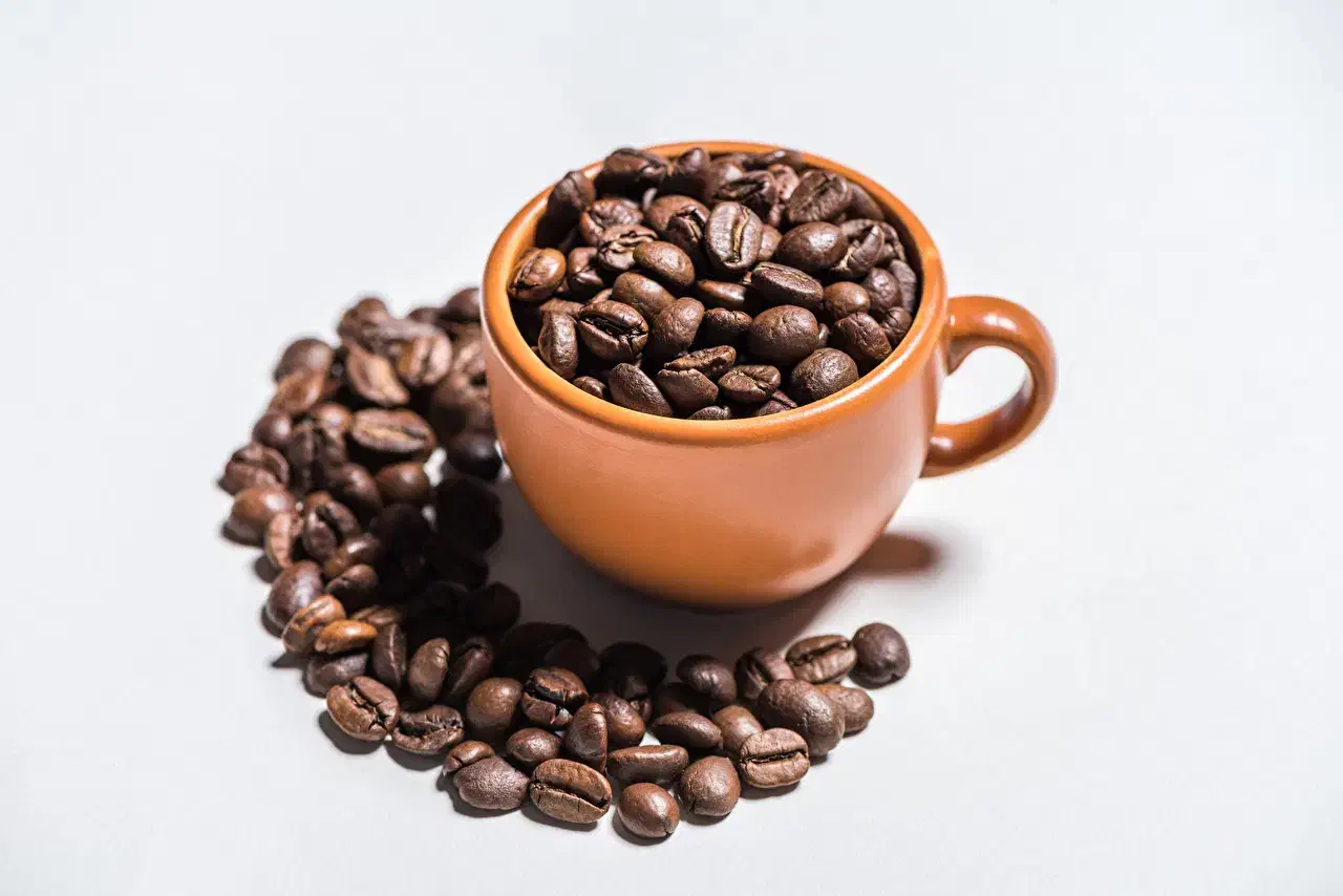 واگذاری کافه در بهترین نقطه شهر با درامد عالی|فروش مغازه و غرفه|نیشابور, دارایی|دیوار