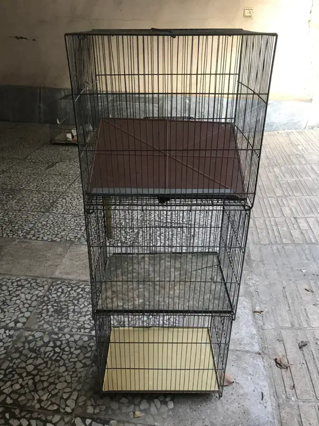 قفس پرنده ۹ عدد.قفس مینا مرغ عشق قناری جوجه پرون|لوازم جانبی حیوانات|تهران, کوی بیمه|دیوار
