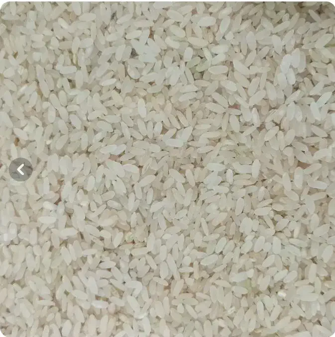 برنج|خوردنی و آشامیدنی|مرودشت, ابوذر شمالی‎|دیوار