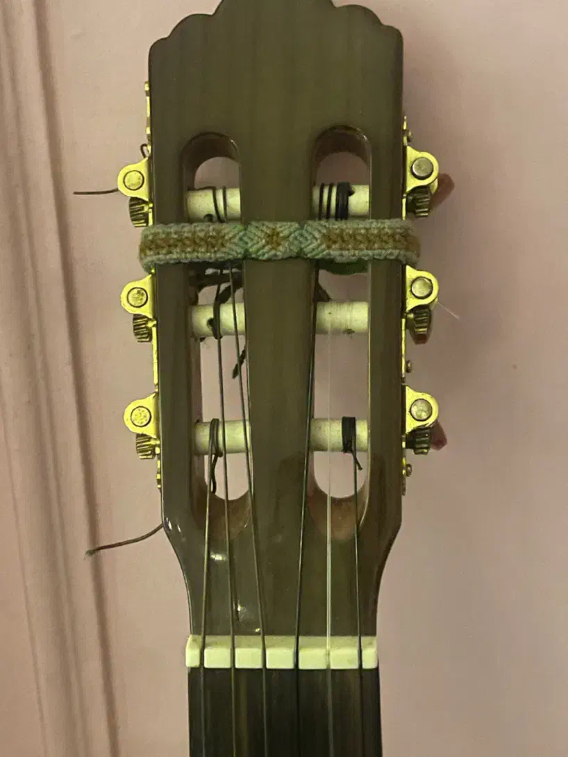 گیتار کلاسیک انجل لوپز|گیتار، بیس، امپلیفایر|تهران, ارامنه|دیوار