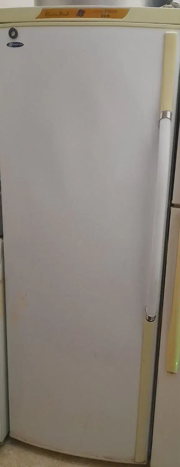 فریزر الکترو استیل|یخچال و فریزر|ری, شهادت|دیوار