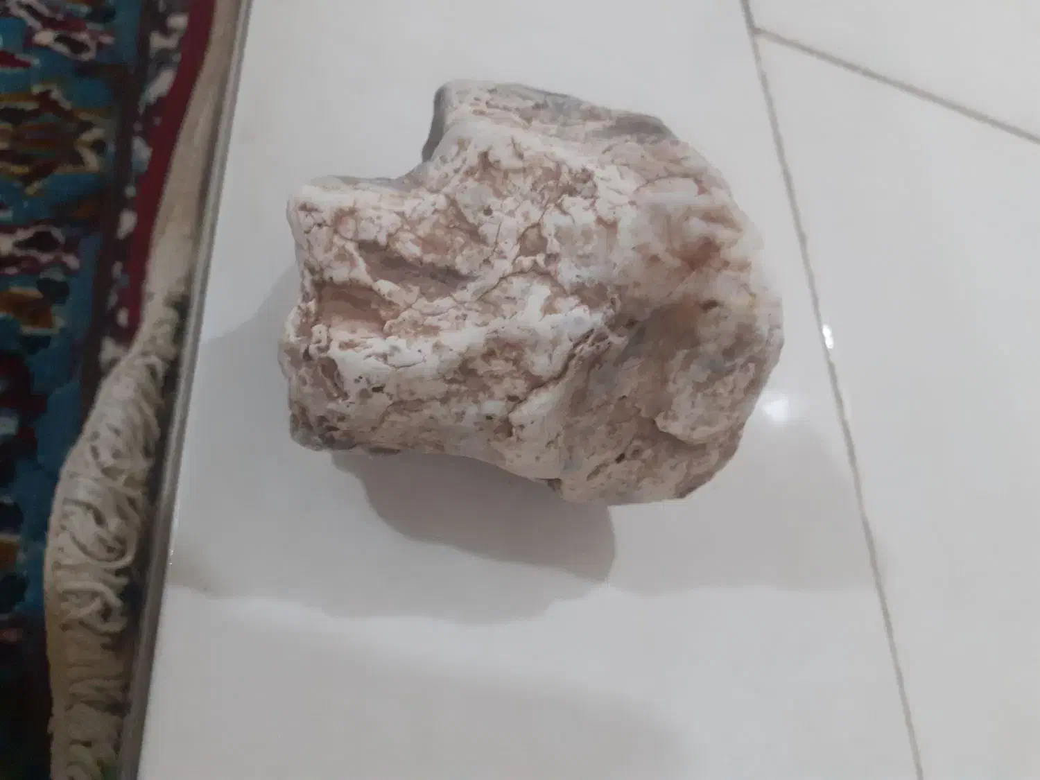 استخوان عقیق دار|کلکسیون اشیاء عتیقه|قزوین, |دیوار