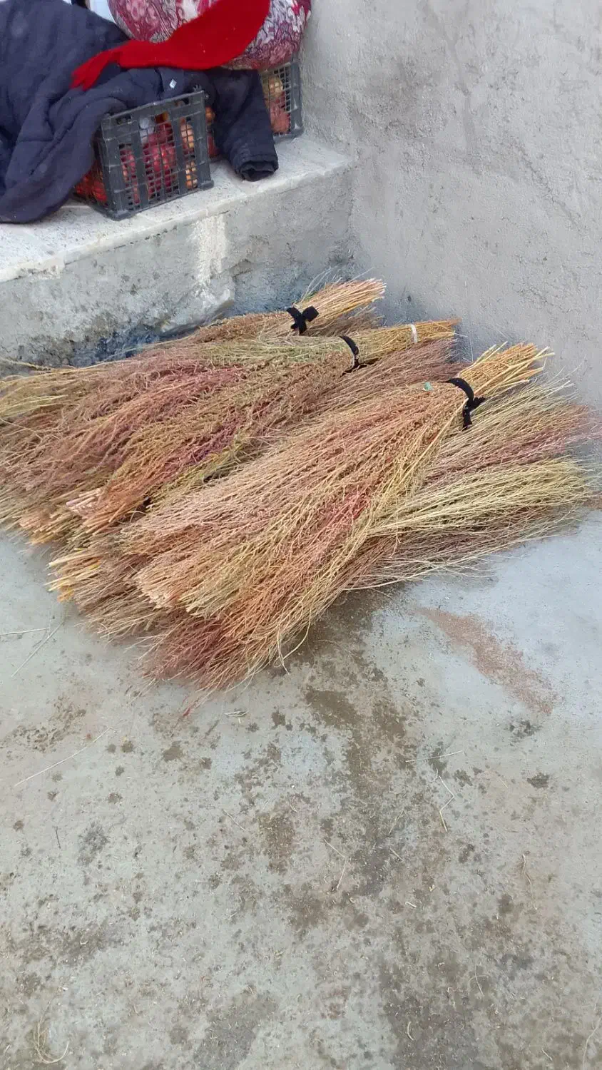 جارو|جاروبرقی، جارو شارژی، بخارشو|نهاوند, |دیوار