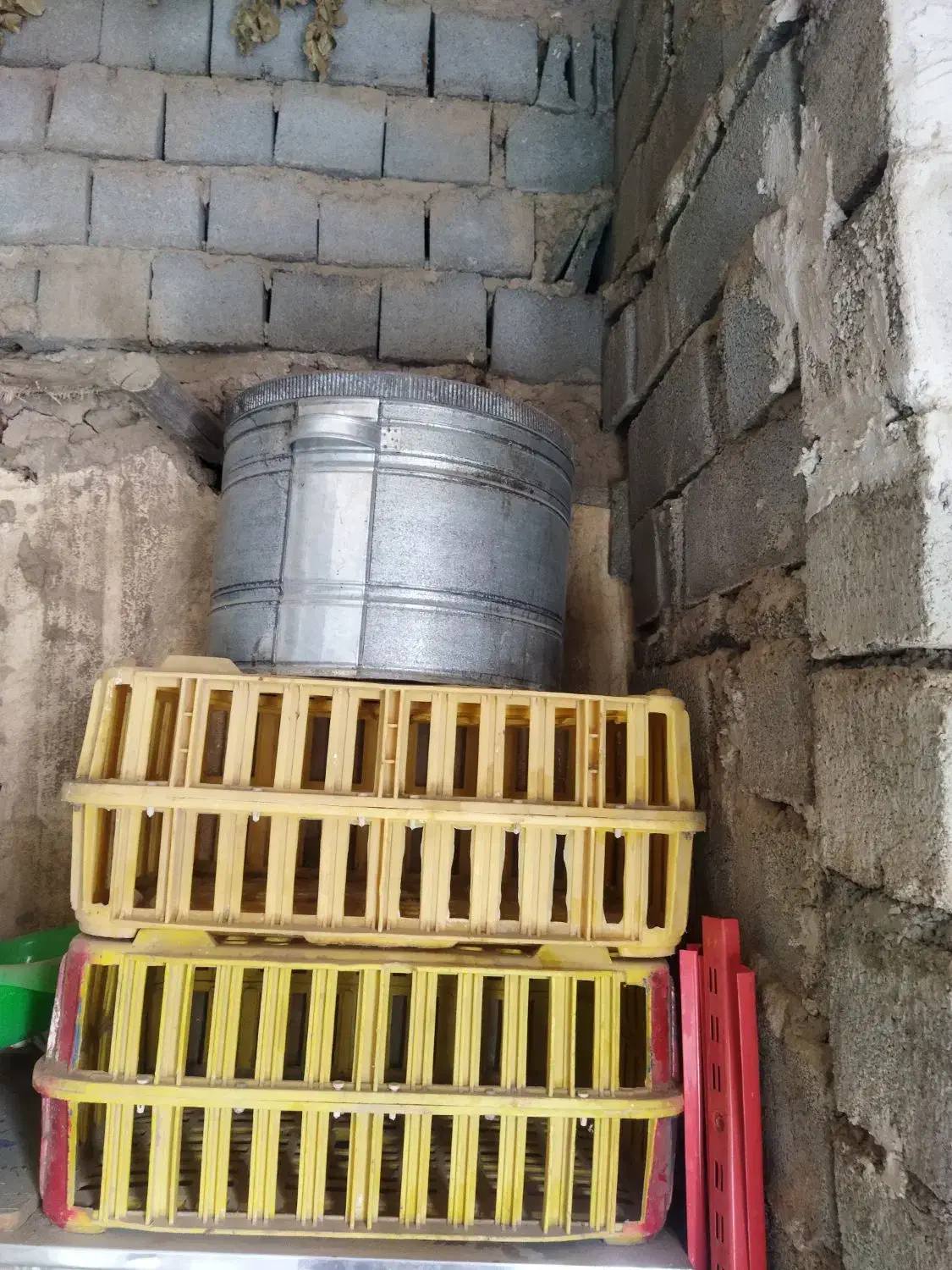 جامرغی وجاخونی|لوازم جانبی حیوانات|امام, |دیوار