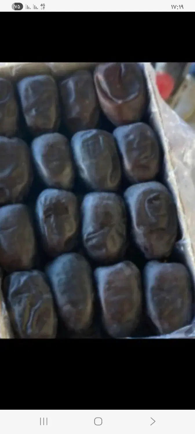 خرما دوردیفی|خوردنی و آشامیدنی|بم, |دیوار