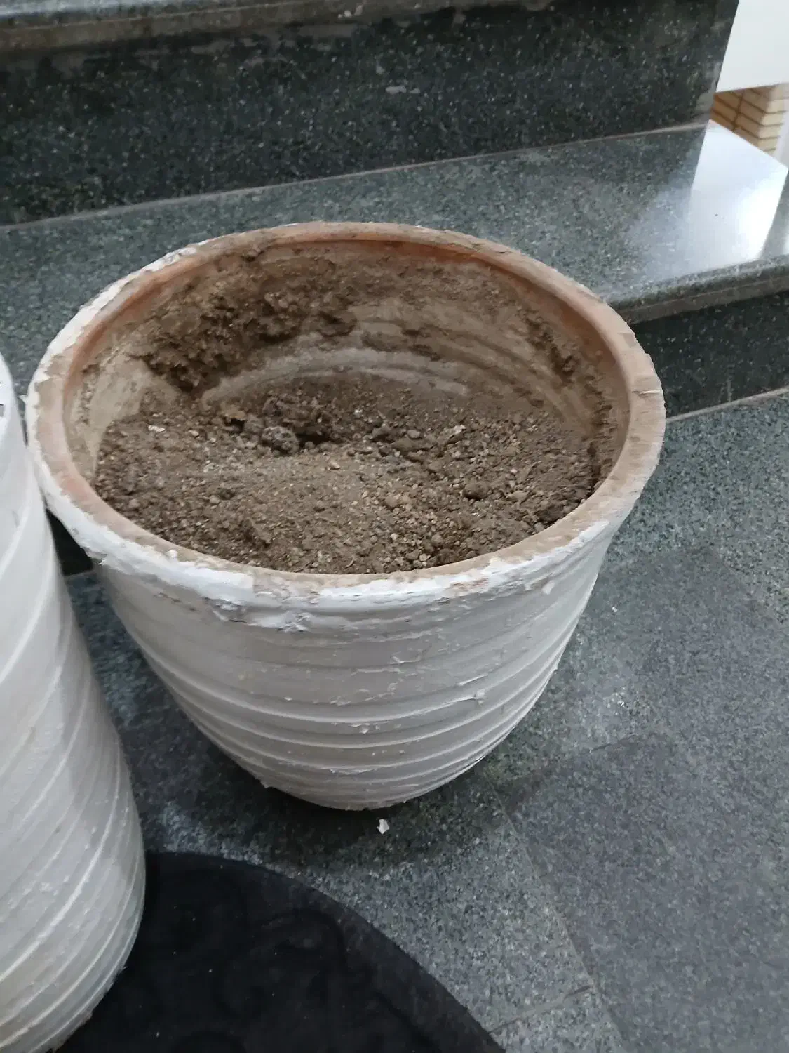 گلدان|گل و گیاه طبیعی|اصفهان, شاهزاده ابراهیم|دیوار