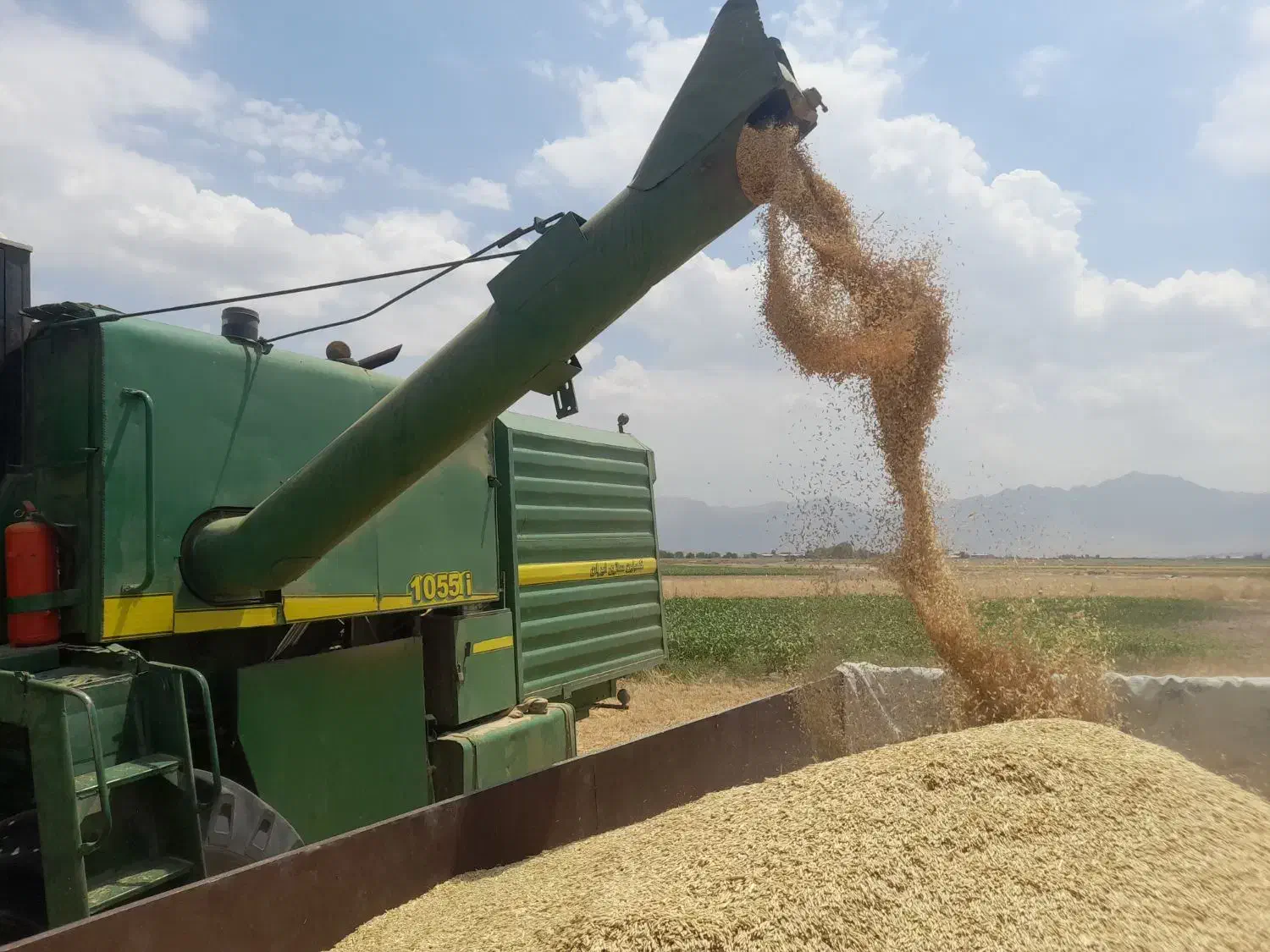 جو آبی تمیز برداشت امسال|خدمات باغبانی و درختکاری|شهرکرد, |دیوار