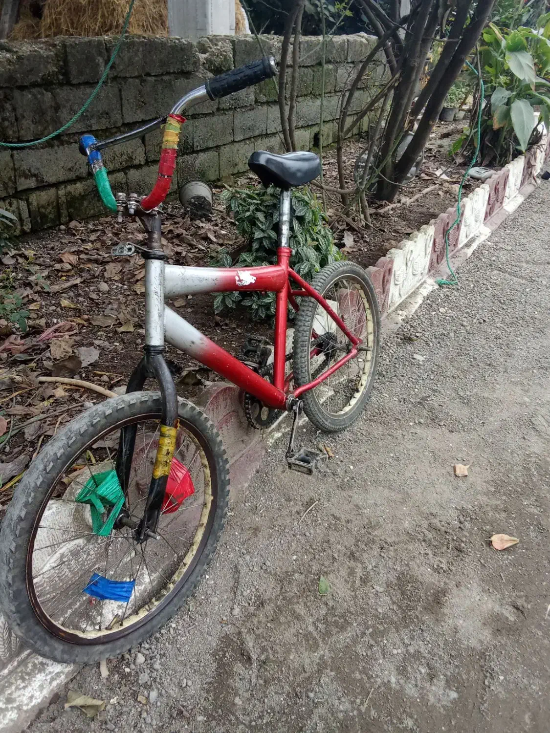 دوچرخه 20|دوچرخه، اسکیت، اسکوتر|چوبر, |دیوار