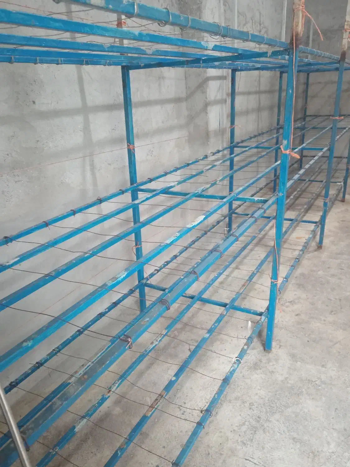 طبقه بندی قارج|فروشگاه و مغازه|بوشهر, |دیوار