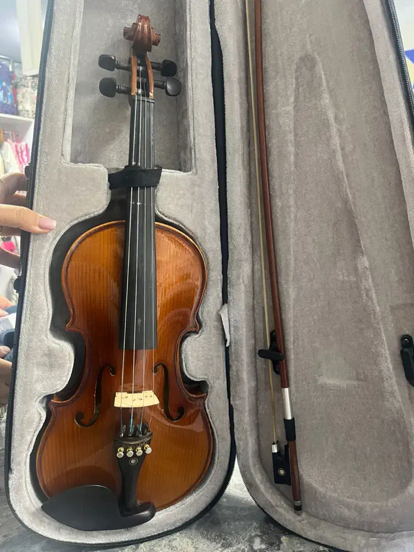 ویلون|ویولن|سنندج, |دیوار