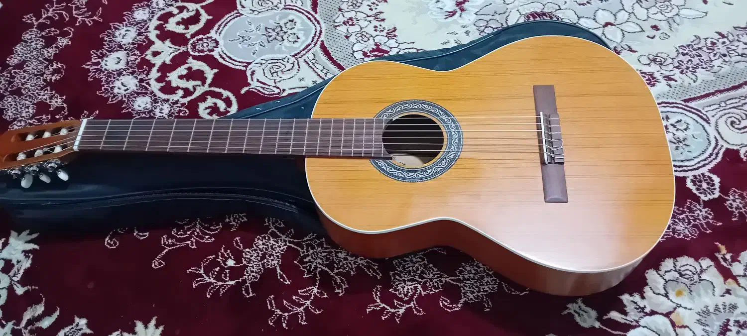 گیتار خش صدا|گیتار، بیس، امپلیفایر|تهران, شهرک رضویه|دیوار