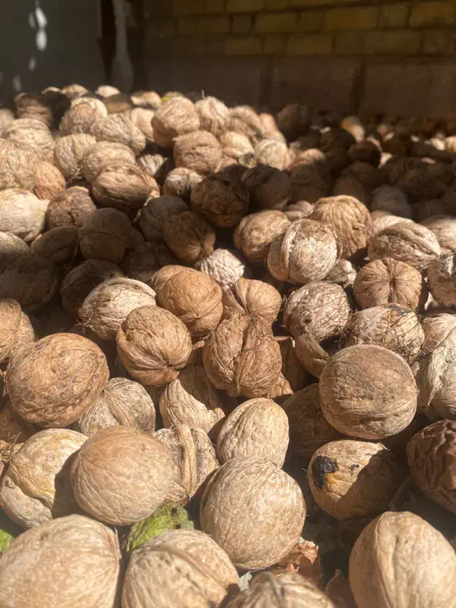 گردو و برنج|خوردنی و آشامیدنی|کیش, |دیوار