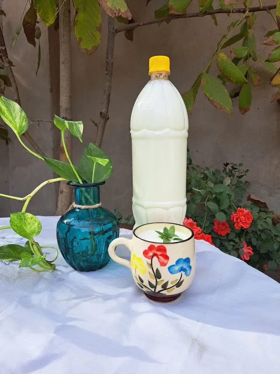 لبنیات سنتی و خانگی|خوردنی و آشامیدنی|مشهد, شهید احمدی روشن|دیوار