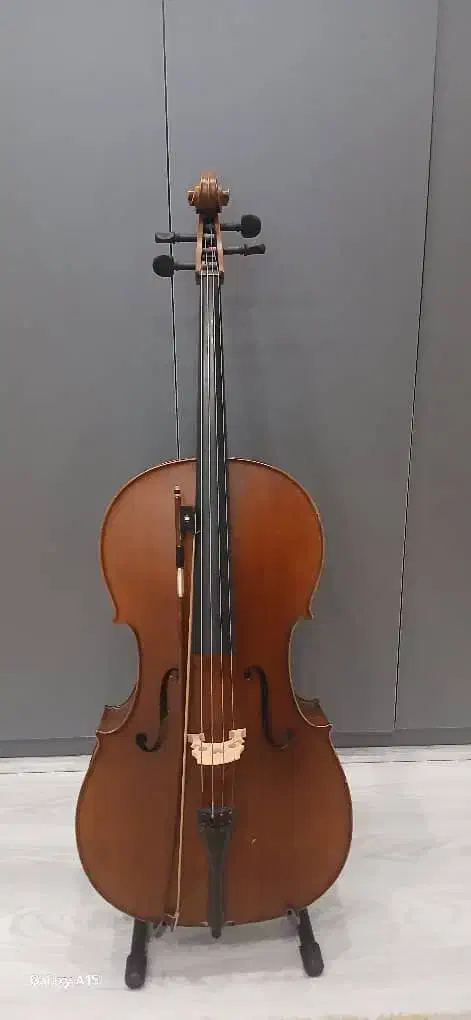 ویولون سل|ویولن|تهران, درب دوم|دیوار