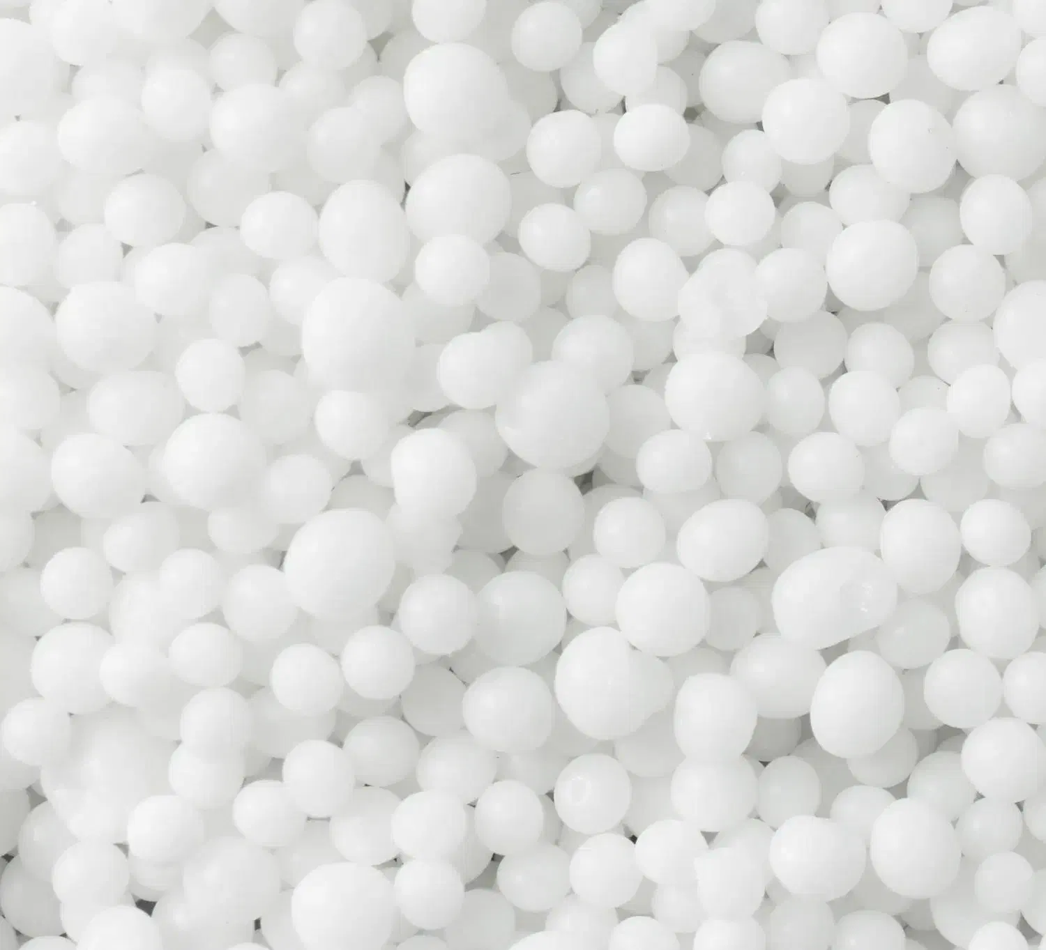 کودسفید|خدمات باغبانی و درختکاری|گنبد کاووس, |دیوار