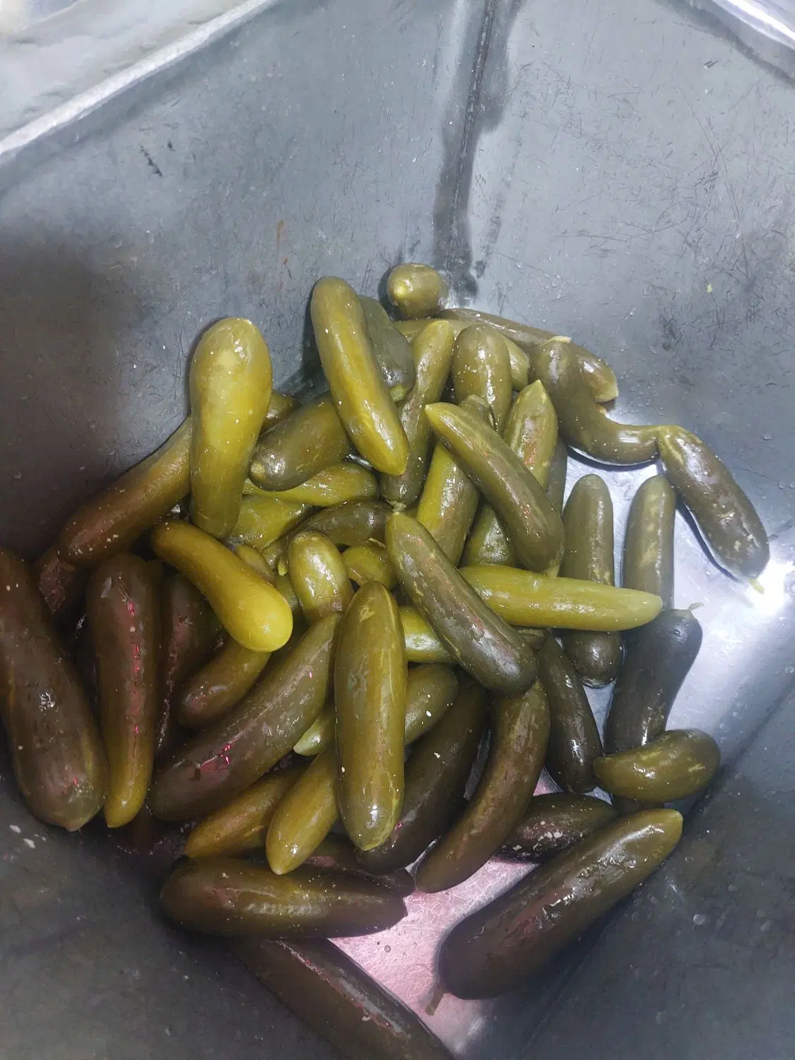 خیارشور|خوردنی و آشامیدنی|اصفهان, قهجاورستان|دیوار