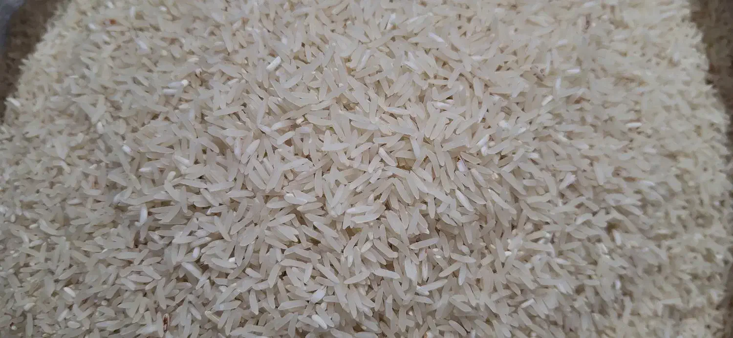 برنج فجر 90 روزه امساله|خوردنی و آشامیدنی|سنگدوین, |دیوار