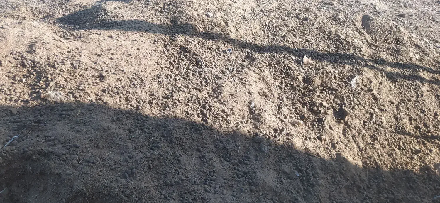 کود حیوانی|خدمات باغبانی و درختکاری|کوهدشت, |دیوار