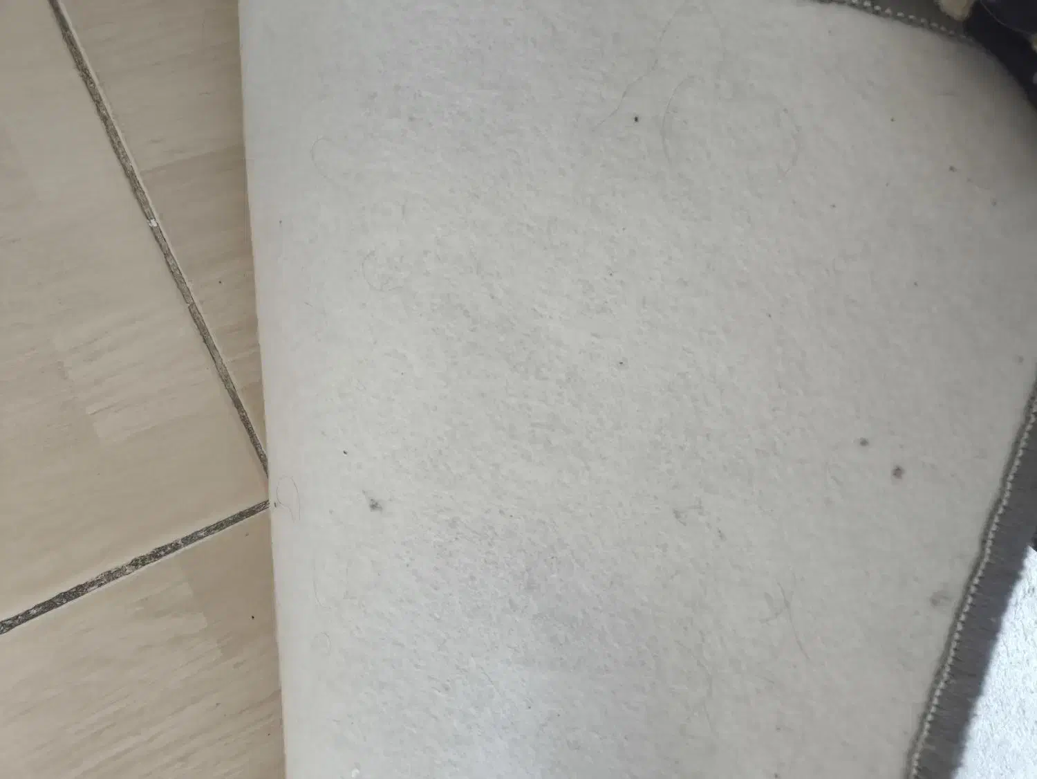 موکت|موکت|قزوین, |دیوار