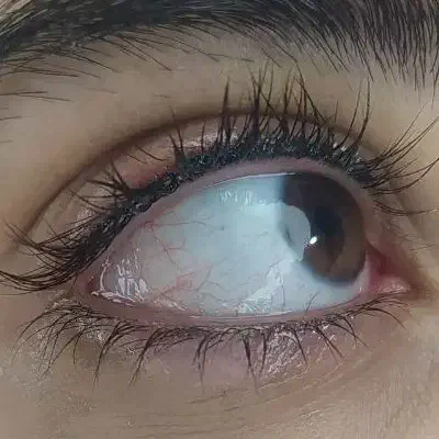 جشنواره یلدایی آرایش دائم مسعودیه کوچه ۲۵|خدمات آرایشگری و زیبایی|تهران, مسعودیه|دیوار