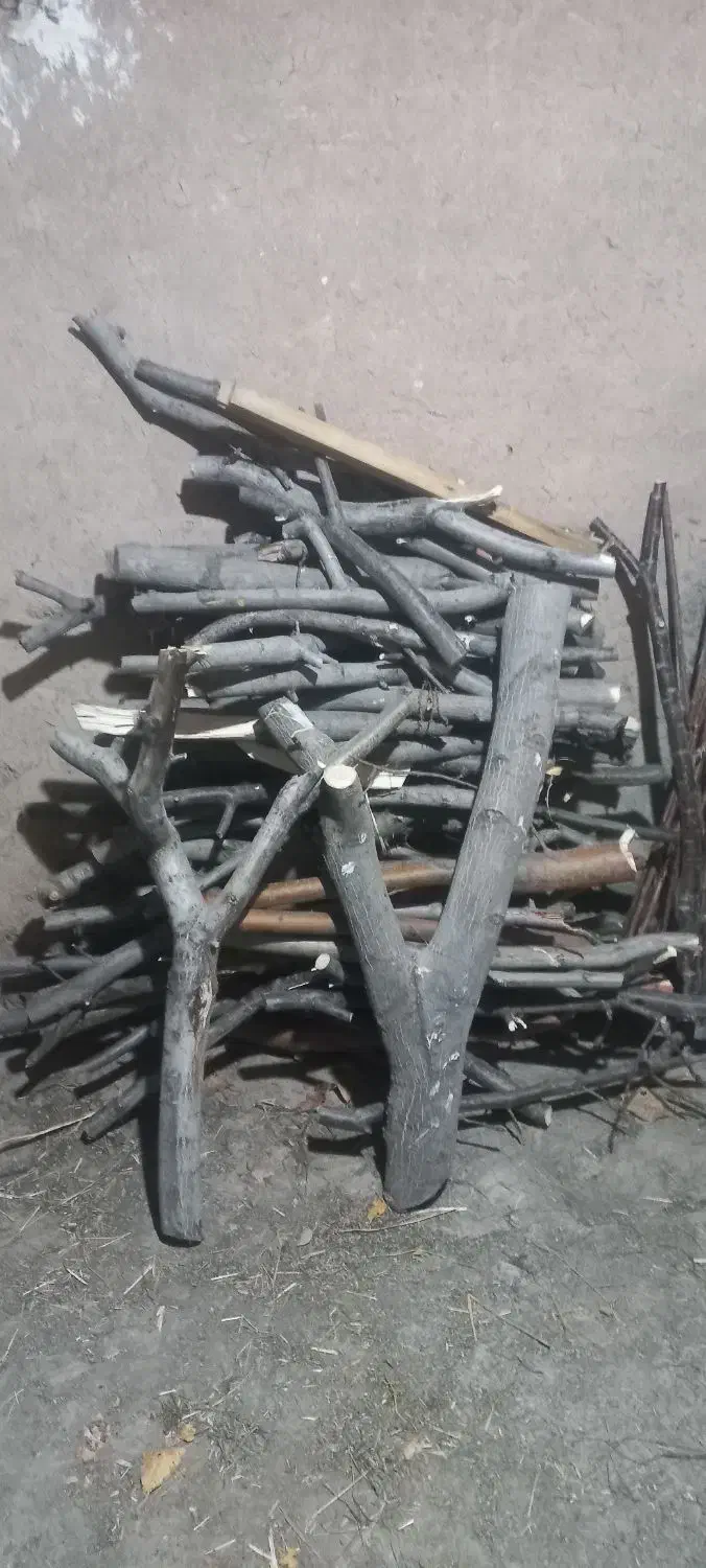 هیزم برای کوهنوردی و کمپینگ|کوهنوردی و کمپینگ|لواسان, |دیوار