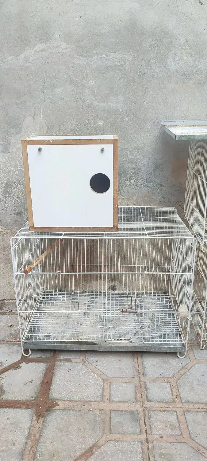قفس پرنده مناسب قناری عروس هلندی و..|لوازم جانبی حیوانات|فردوس (خراسان), |دیوار
