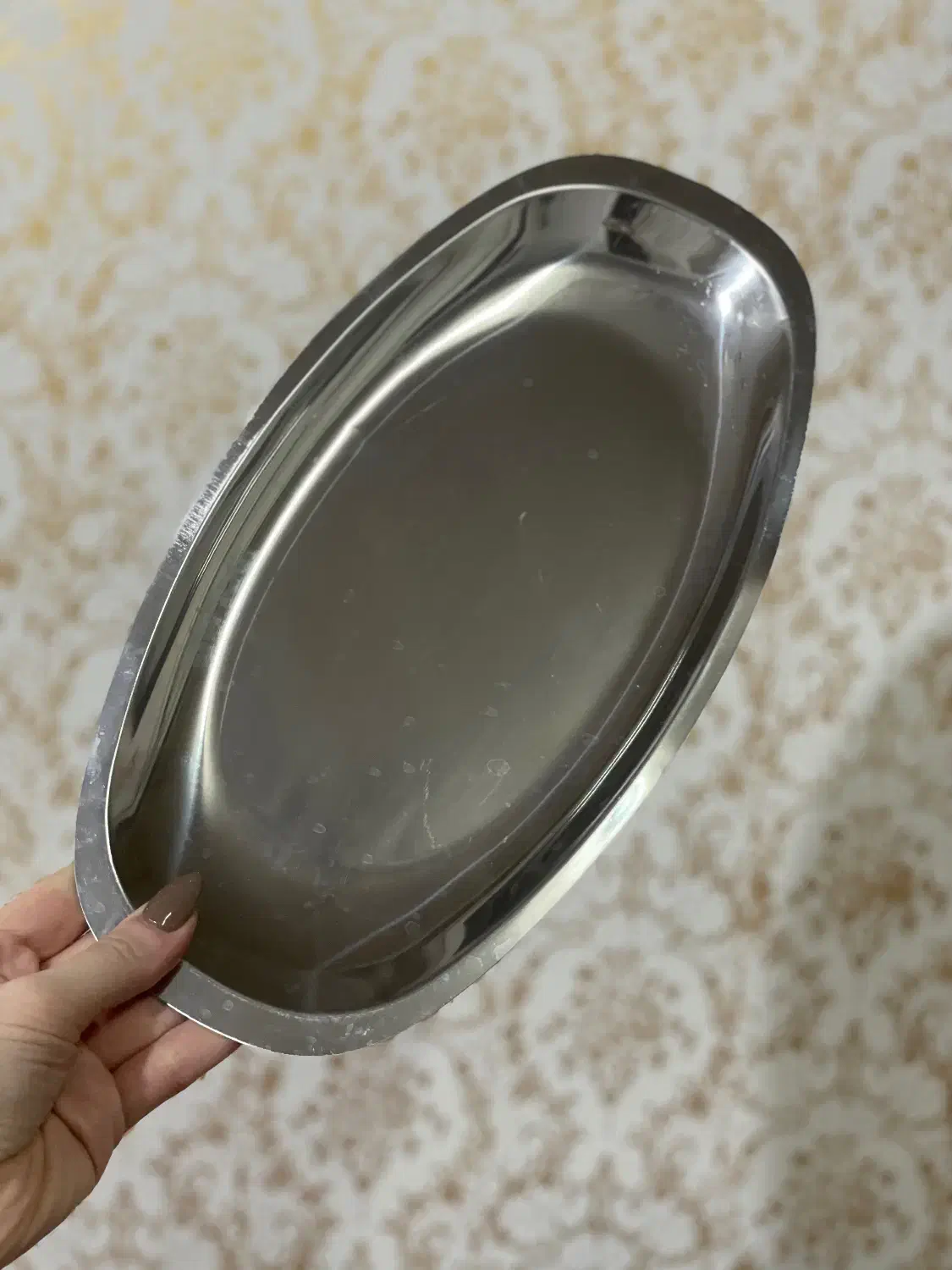 سینی استیل|ظروف سرو و پذیرایی|رشت, منظریه|دیوار