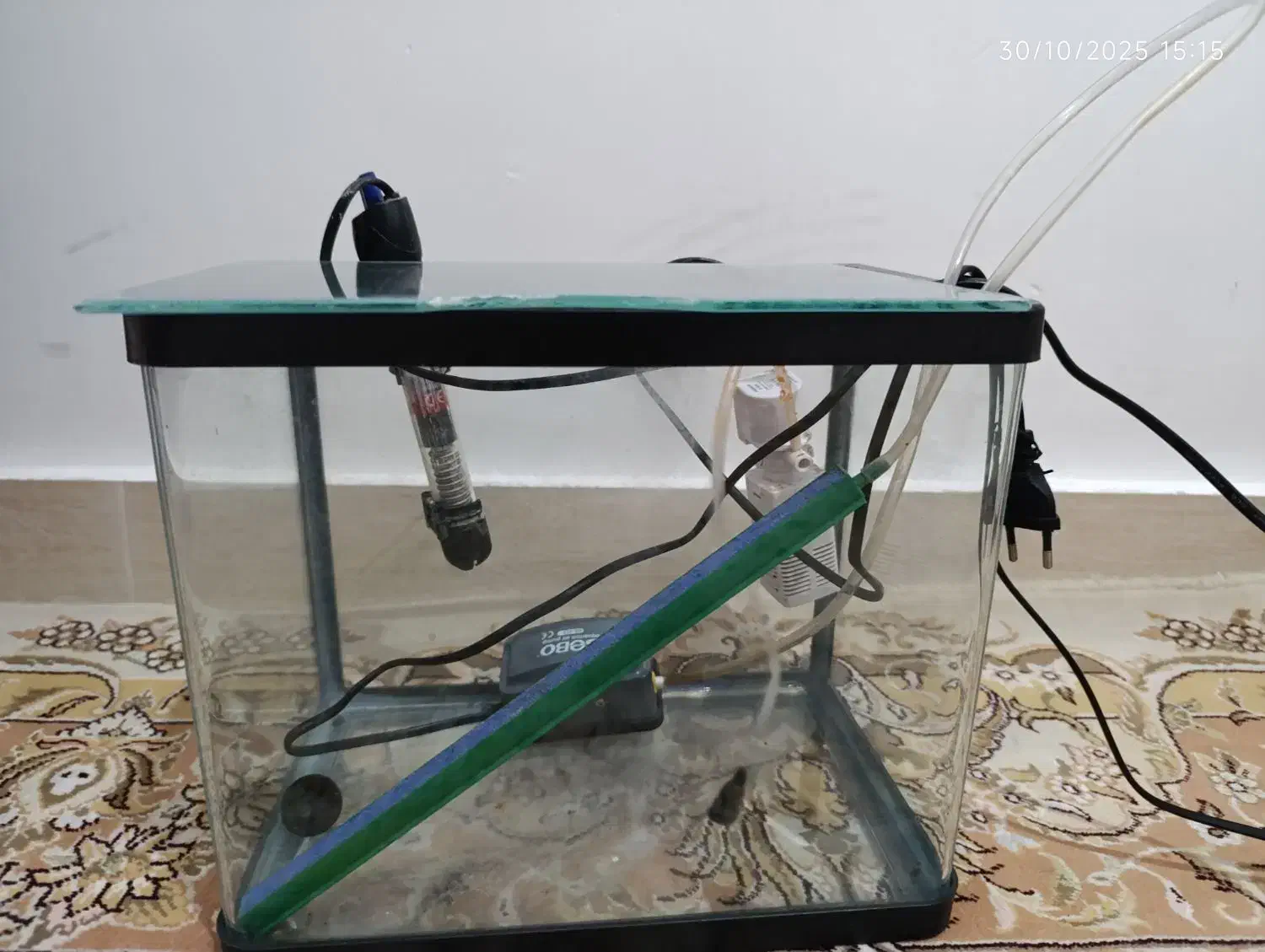 آکواریم|لوازم جانبی حیوانات|سراب, |دیوار