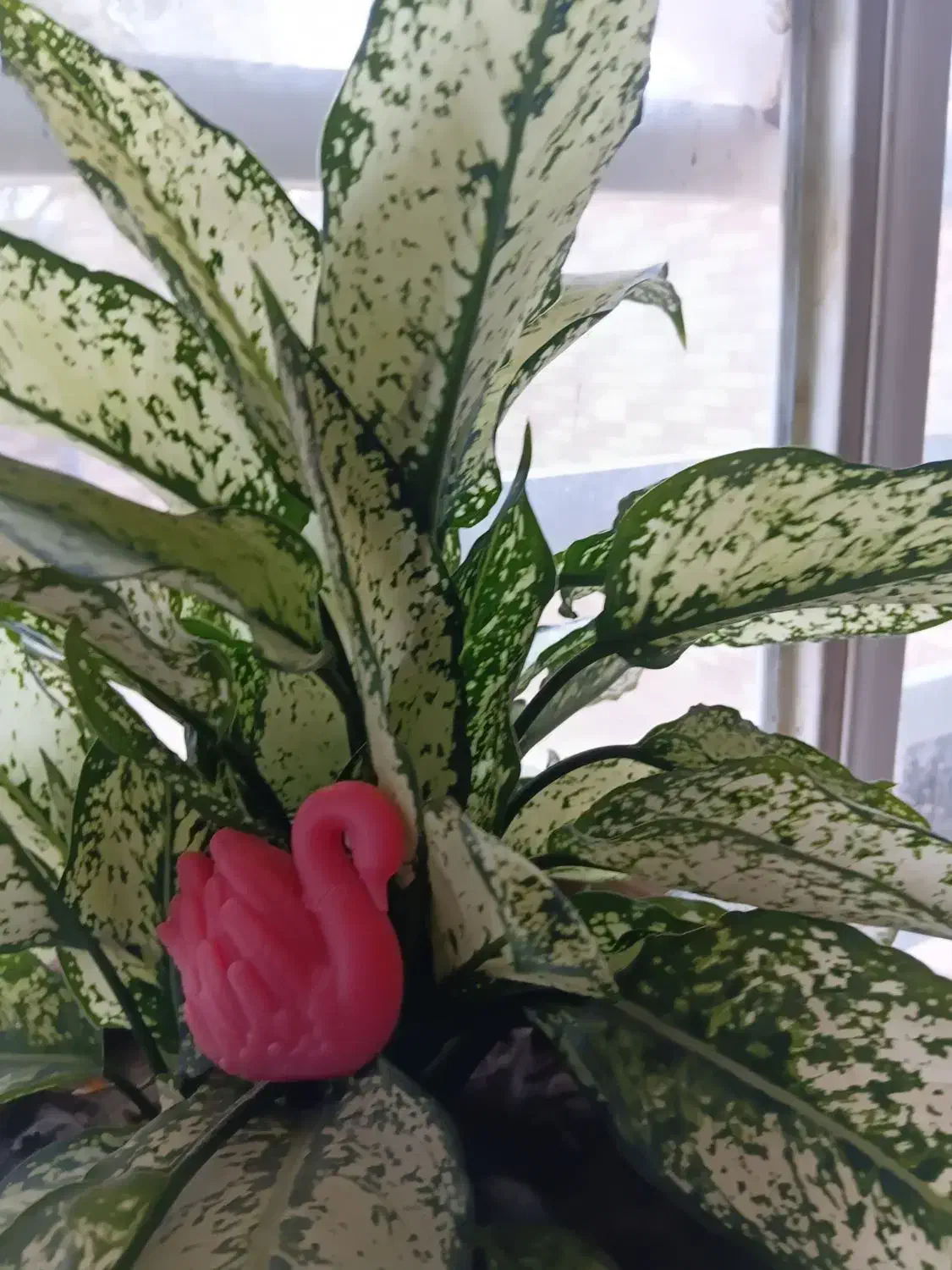 (قو تنها پرنده هست که عاشق میشود و وفادارمیماند)|صنایع دستی و سایر لوازم تزئینی|کرمان, |دیوار