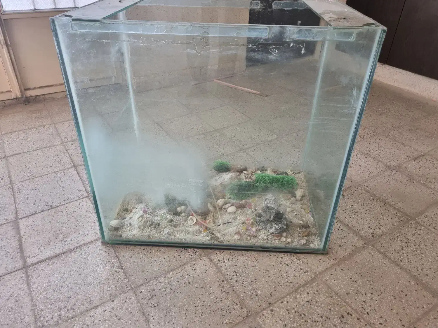 اکواریوم|لوازم جانبی حیوانات|اندیمشک, |دیوار