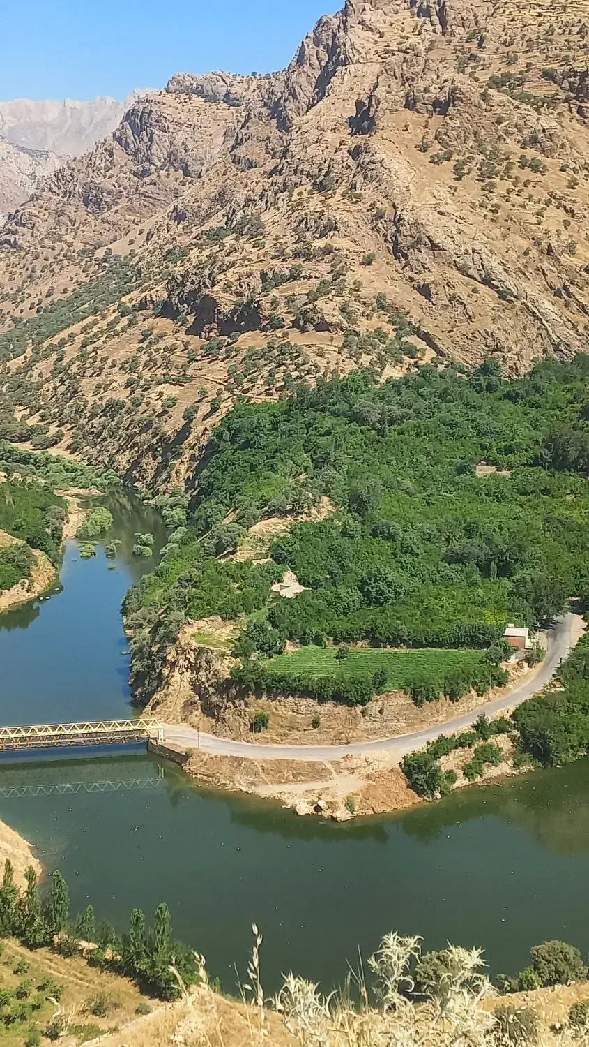 زمین قلعه حاتم گلریز ۱۵ ۱۳۱ متر|فروش زمین و ملک کلنگی|بروجرد, |دیوار